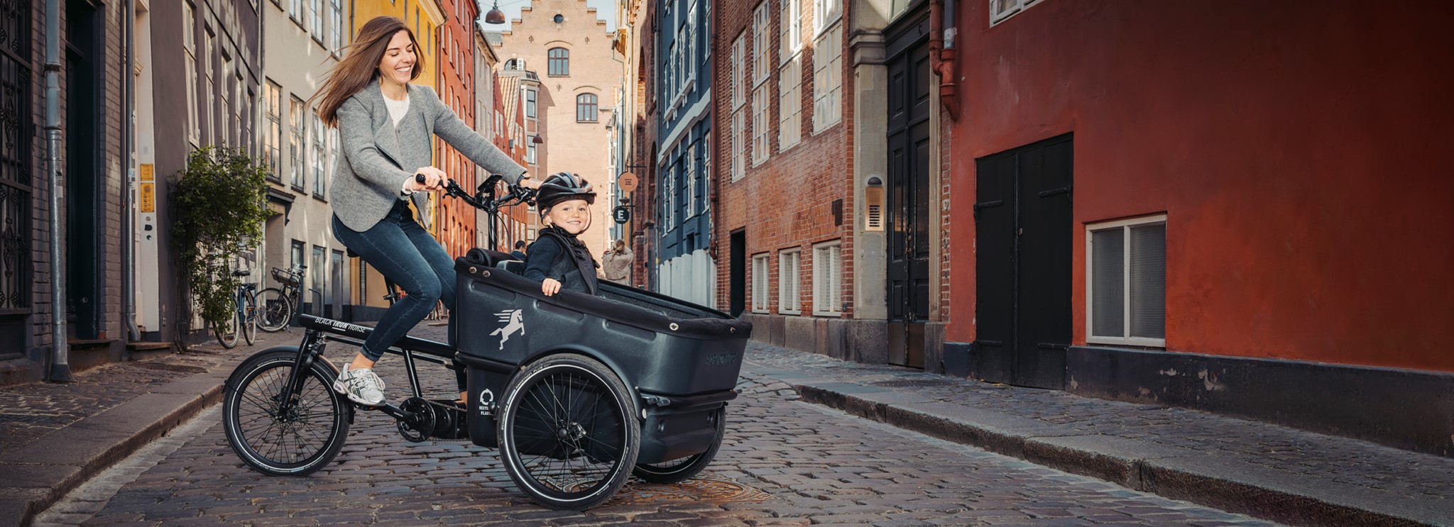 Black Iron Horse El-ladcykler på abonnement i Næstved på Sydsjælland.jpg