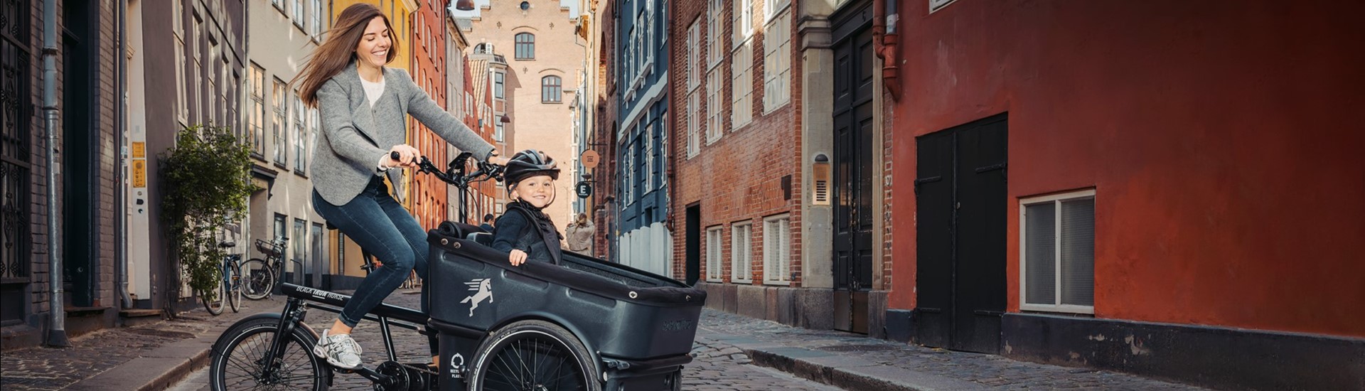 Black Iron Horse El-ladcykler på abonnement i Næstved på Sydsjælland.jpg